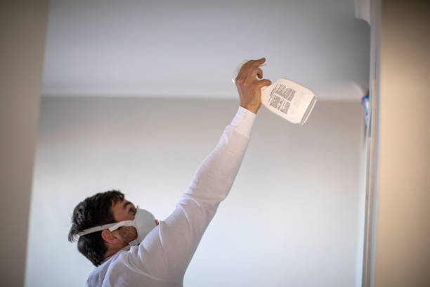 Best Insurance-Related Mold Remediation in Covina, CA